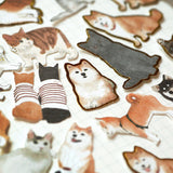 a mixure of gold foiled shiba stickers scattered on an open notebook