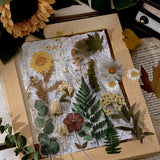 simulation flower pet stickers scattered on a wooden frame